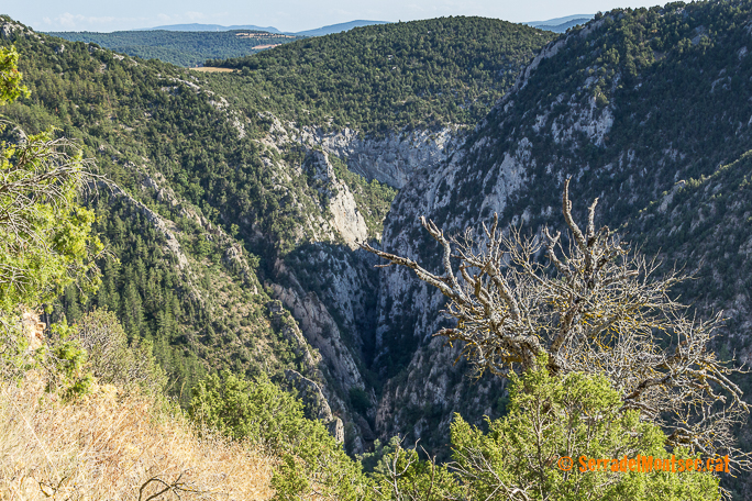 El Congost de Siscar (o Congost del Queixigar, o Foscos del Queixigar) vist en vertical des d'alt del Castell de Falç.